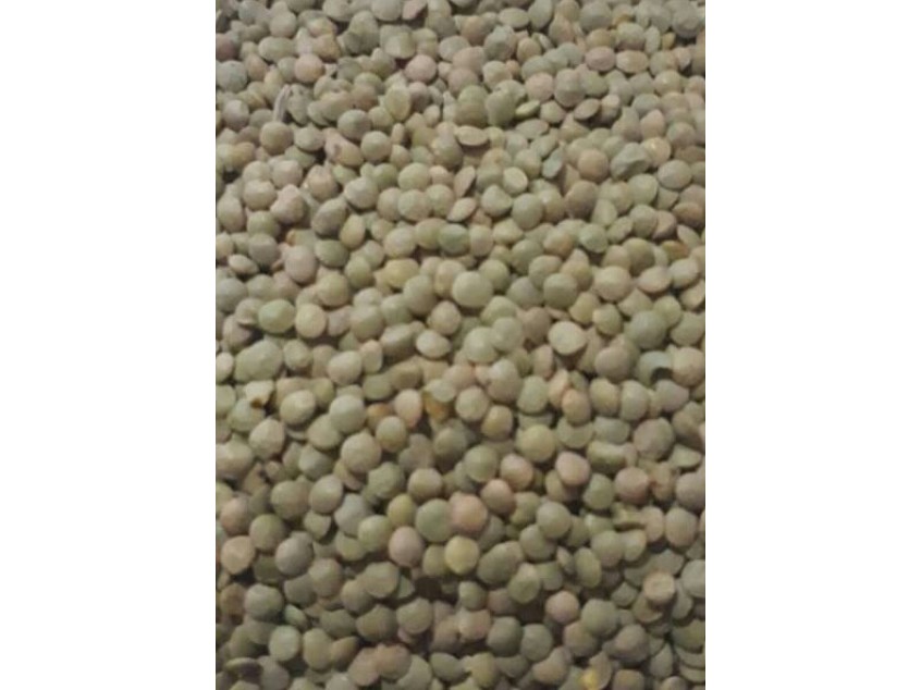 KASTAMONU KÖY MERCİMEĞİ 1 KG